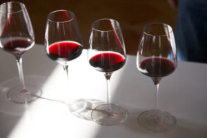 Tasting wines in the tasting room Tasting wines in the tasting room