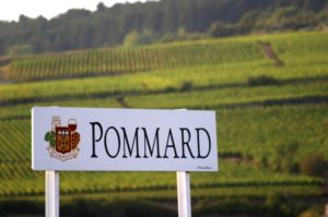 In the Pommard vineyards, Cote de Beaune, Burgundy In the Pommard vineyards, Cote de Beaune, Burgundy