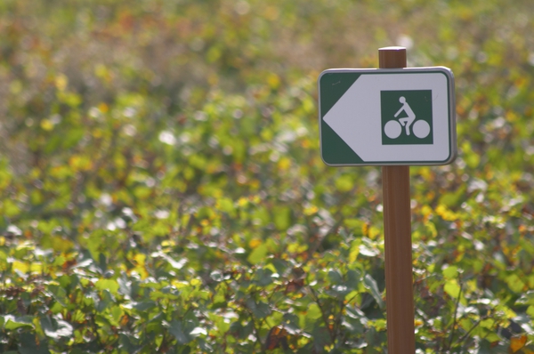 A cycle path sign in the vineyards