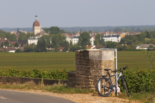 A view over the vineyards and the town of Beaune