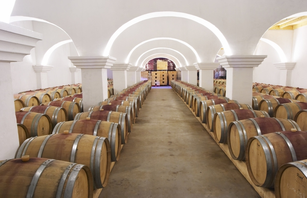 A beautiful barrel aging cellar