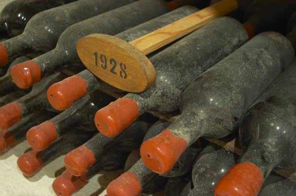 Old bottles of wine in a cellar