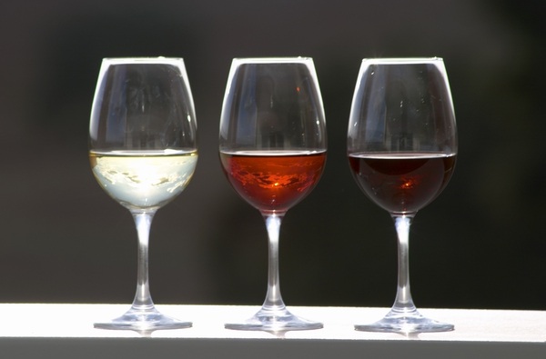 White, rose, and red wines in glasses