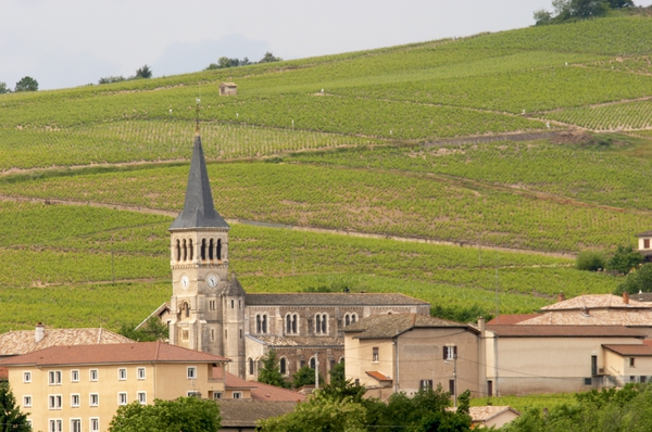 Every country-side village in the vineyards has its church