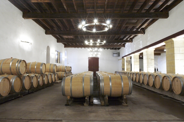 A cellar with oak barrels