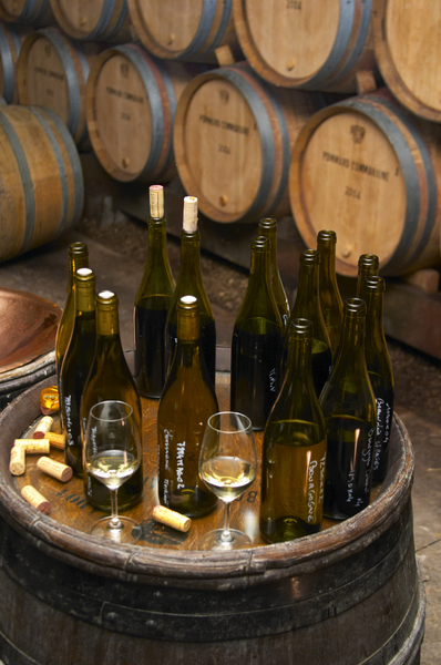 Bottles and barrels in the cellar for a wine tasting