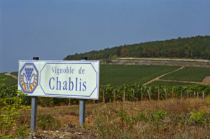 Vineyards in Chablis