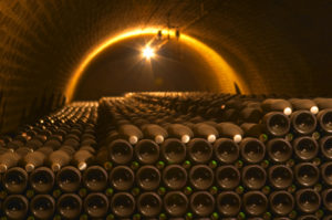 Many bottles in the wine cellar in Champagne