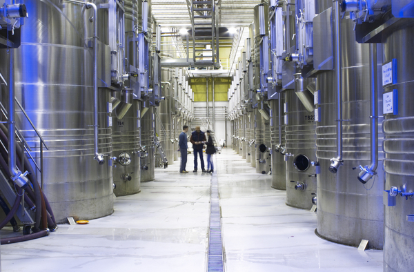 A big winemaking facility with many stainless steel fermentation tanks