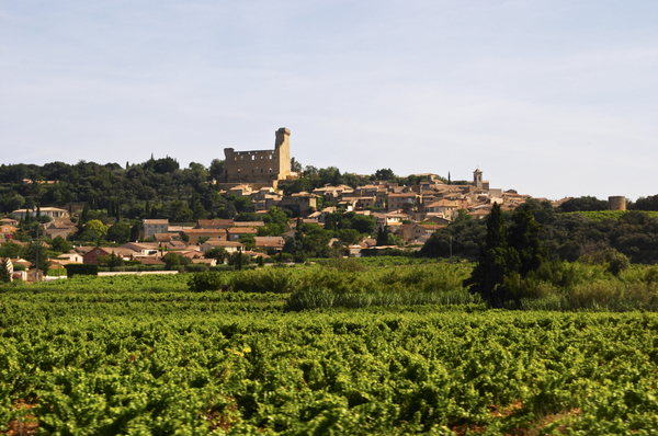 An village with an old ruin in a sea of vines