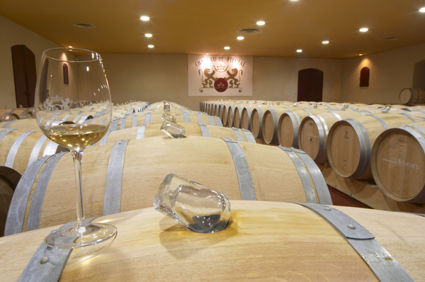 Wine in barrels slowly maturing in the cellar and a glass