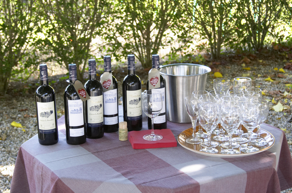 A tasting the the garden at a wine producer's