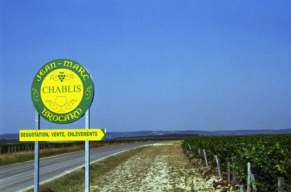 Chablis vineyard, Brocard sign