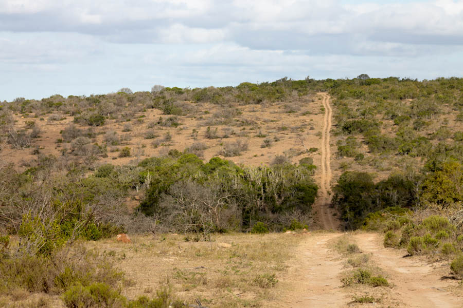 A long and dusty road into the wilderness