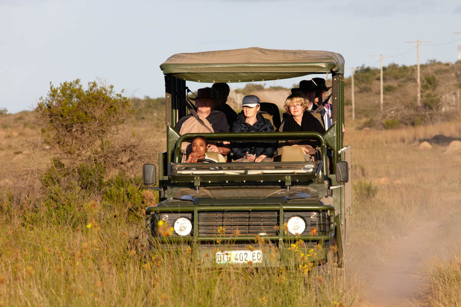Our safari jeep has no doors or windows...