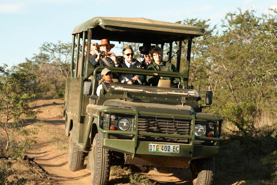 In the jeep heading for more wildlife