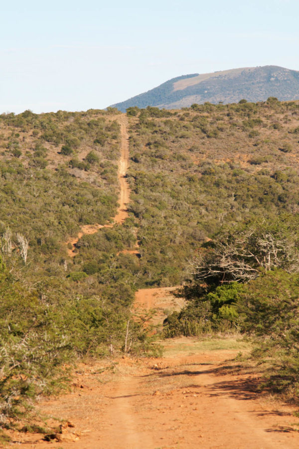 A dirt road over the hills into the wilderness