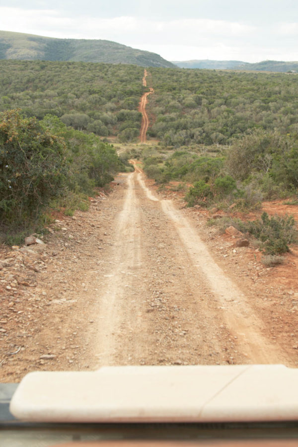 In the jeep heading towards adventure and wildlife