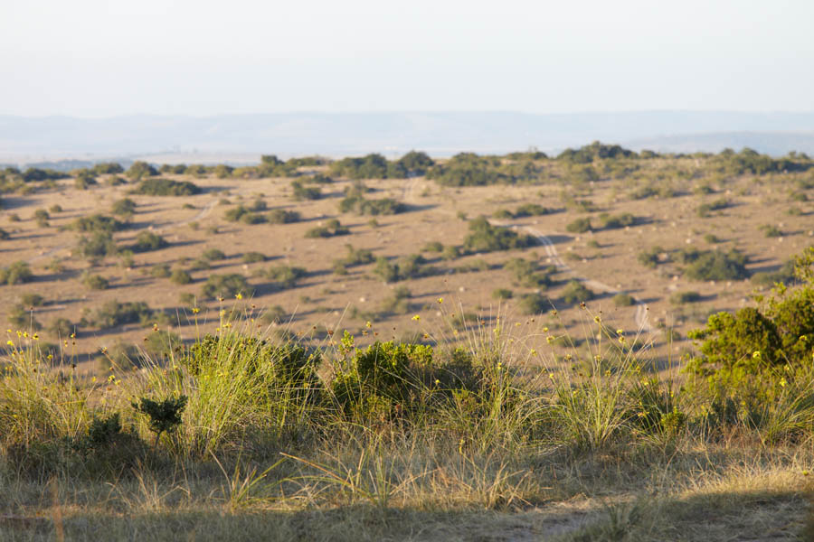 View over the wild landscape