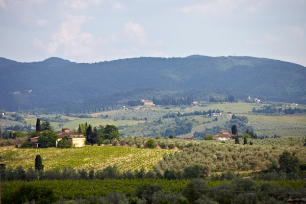 A view over the landscape in Chianti