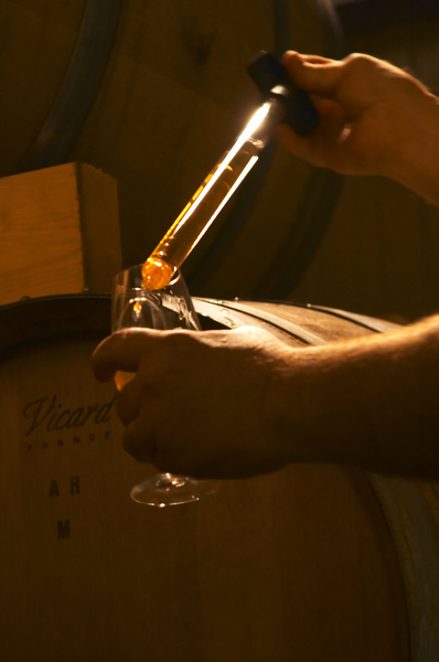 Taking a barrel sample for tasting