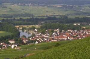 View over the vineyards and a village in Champagne View over the vineyards and a village in Champagne