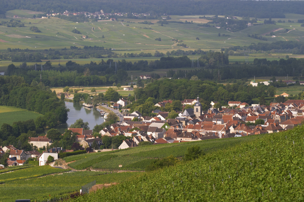 View over the vineyards and a village in Champagne