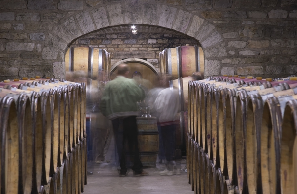Tasting wines in the old barrel cellar