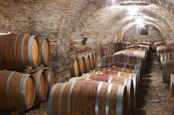 Wine barrels in an old cellar