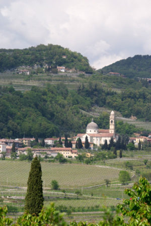Vineyards in northern Italy
