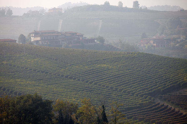 Landscape and vineyards in Piedmont