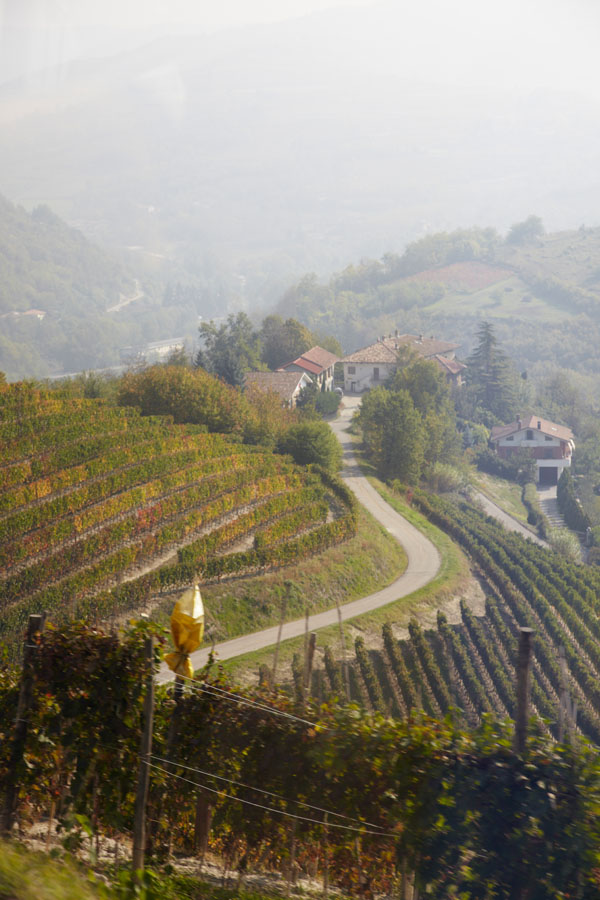 Landscape and vineyards in Piedmont