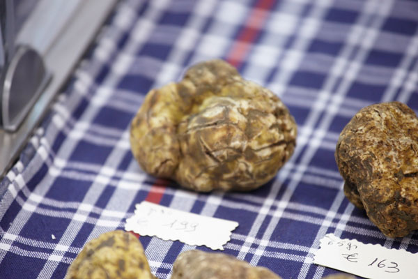 The white truffle in a market
