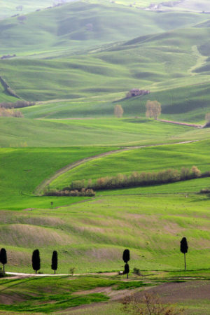 A view over the landscape