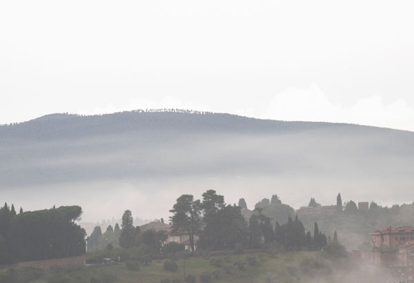 View over an early morning landscape