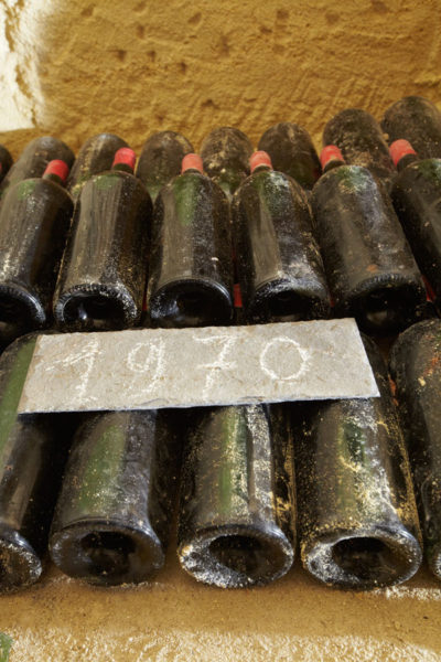 Old wine bottles resting in the cellar