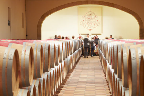 Wine barrels in the cellar