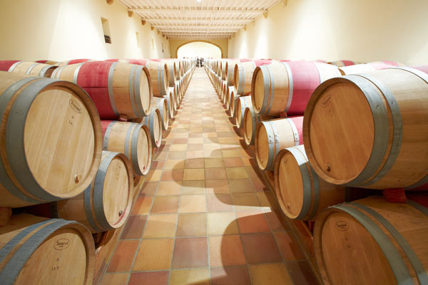 Wine barrels in the cellar