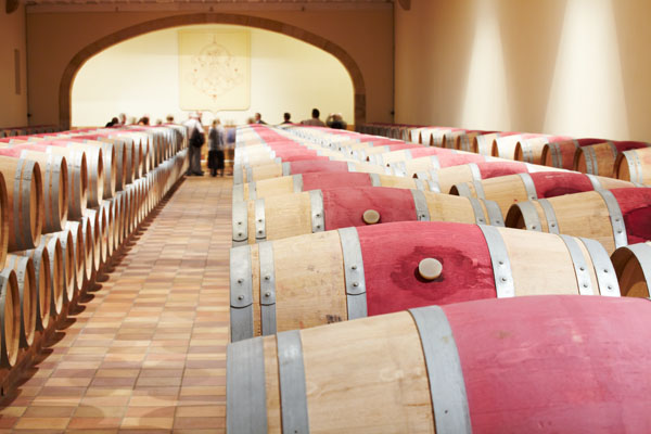 Wine barrels in the cellar