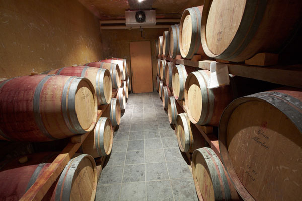 A barrel cellar at a winery
