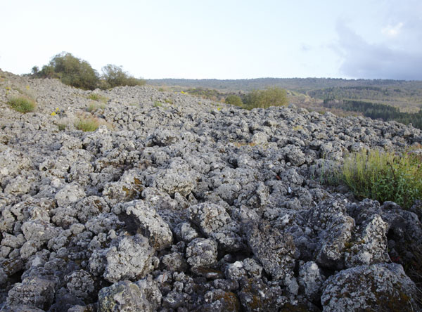 The black soil on the slopes of Etna on Sicily