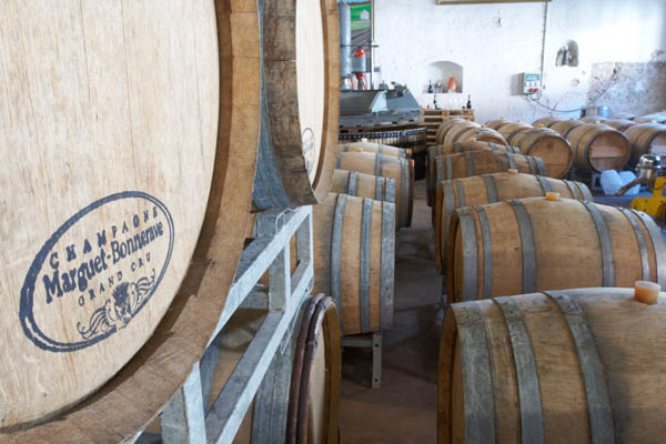 The barrel cellar at Champagne Benoit Marguet