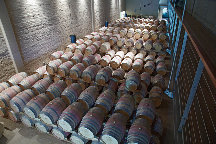 The barrel cellar with aging wine