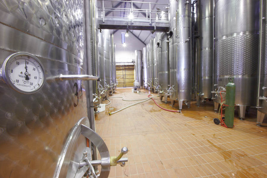 In the vat room in the wine cellar