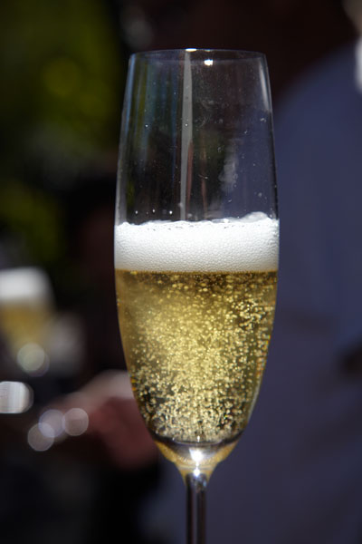 A glass of MCC, the South African sparkling wine