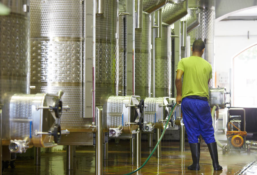 working in the vat room at the winery