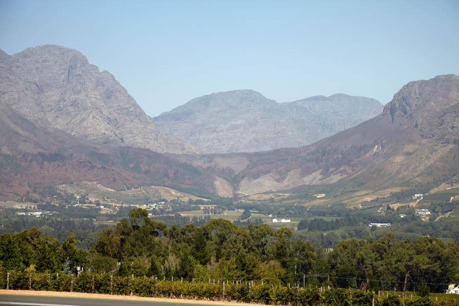 Vineyards in the Franschhoek Valley