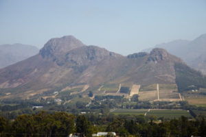 Vineyards and mountains in Stellenbosch