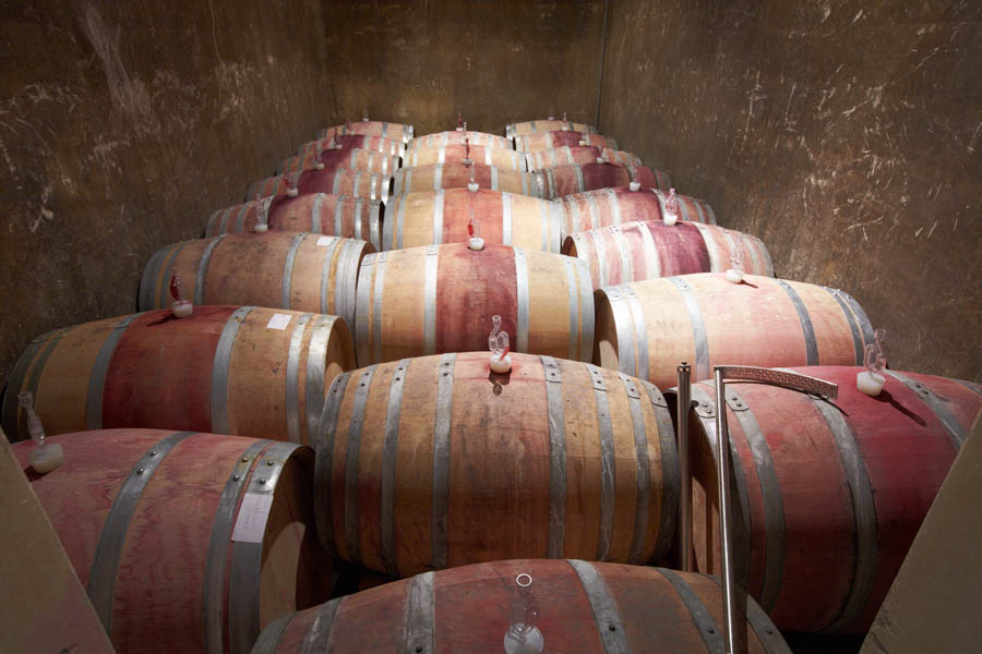 Wine in barrel in the cellar