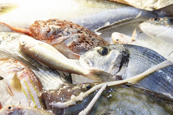 Fresh fish on a market on Sicily